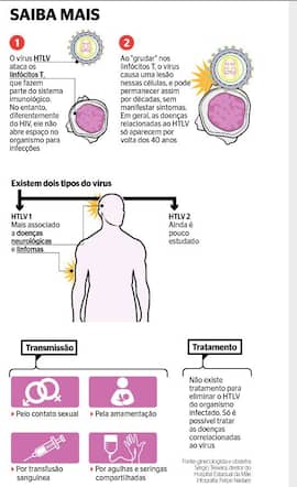 Você sabe o que é vírus HTLV?